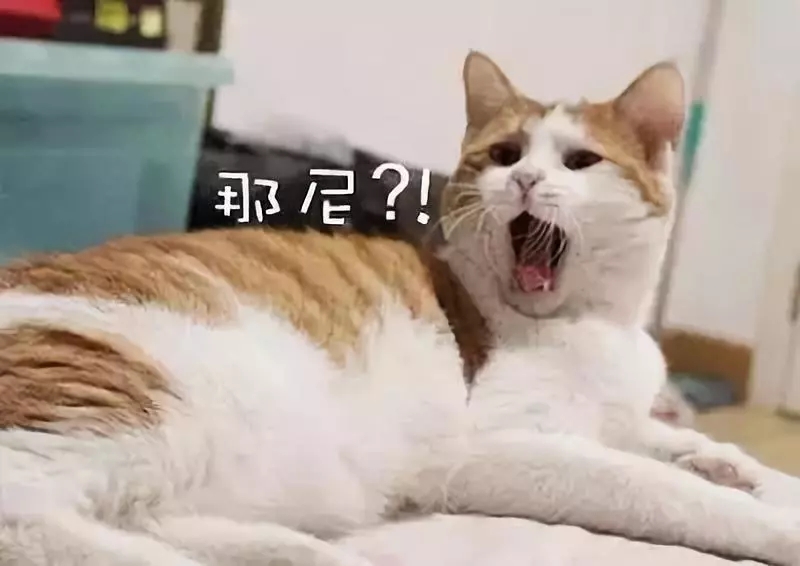 山東嵊燦網絡科技有限公司