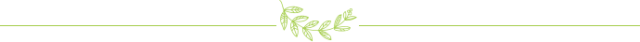 山東網絡公司