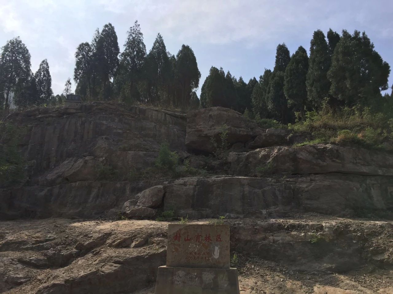 山東網絡公司