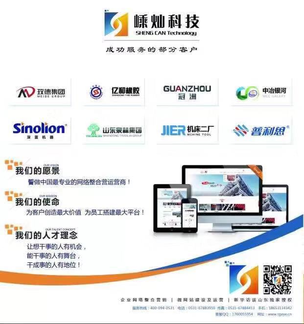 嵊燦專注于網站