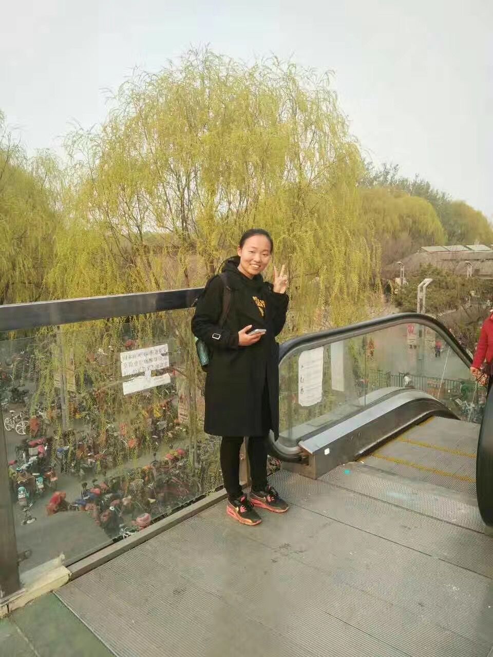 崗位經歷