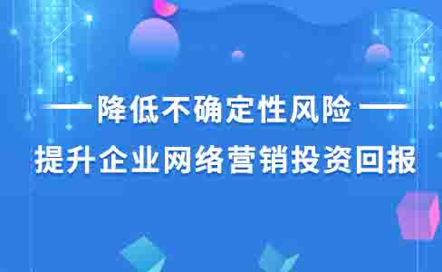 山東網絡優化